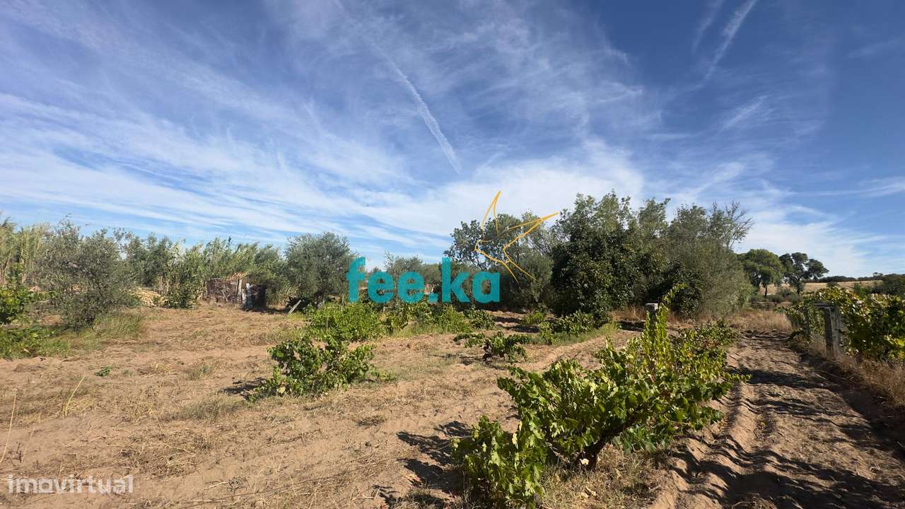 Terreno em Ladoeiro-38