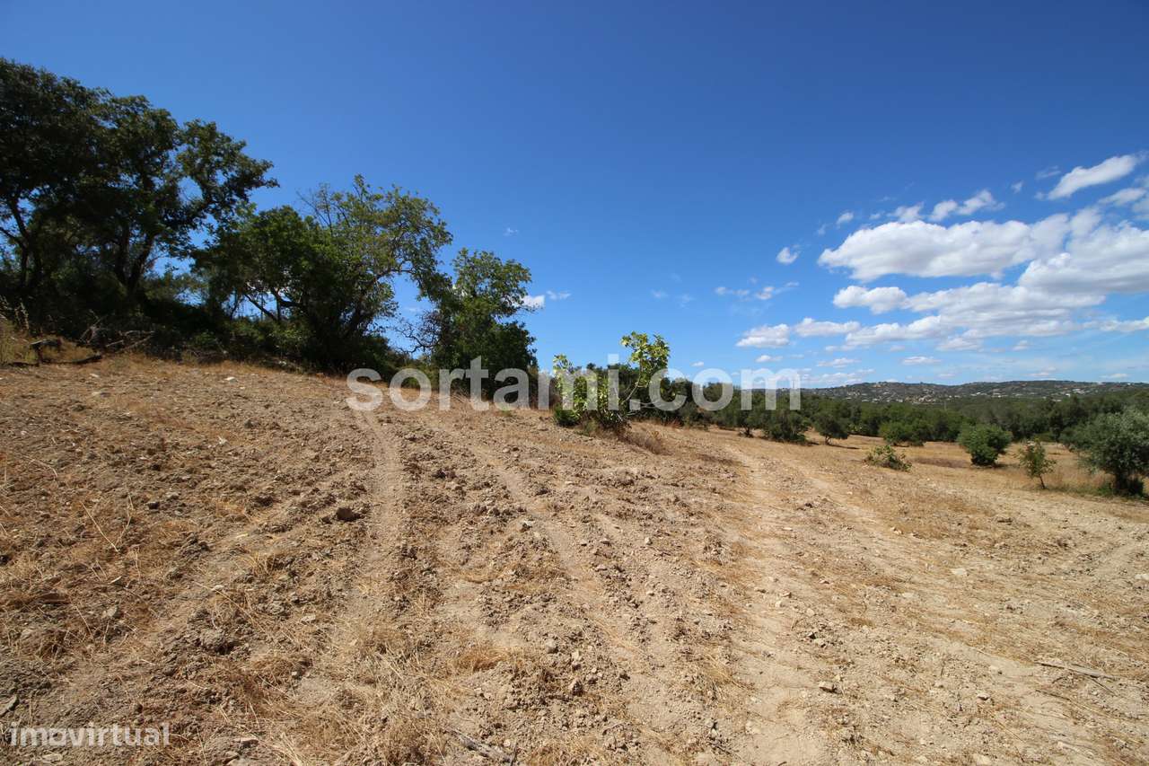 Terreno Rústico  Venda em Santa Bárbara de Nexe,Faro - Grande imagem: 2/6