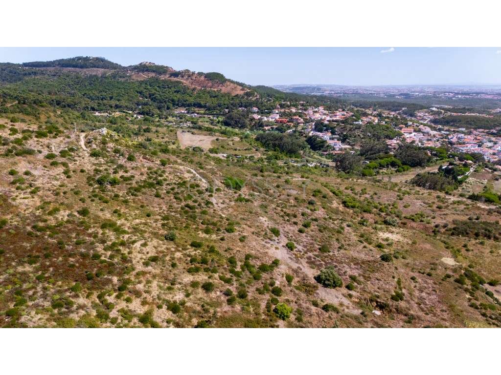 Terreno Rústico à Venda - Fontainhas, Alcabideche (Cascais)-17