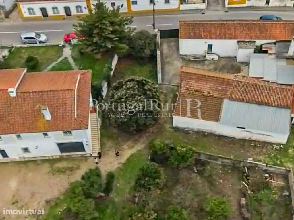 Quinta com 13.000 m² e 3 Moradias no Cartaxo, Póvoa da Isenta-36
