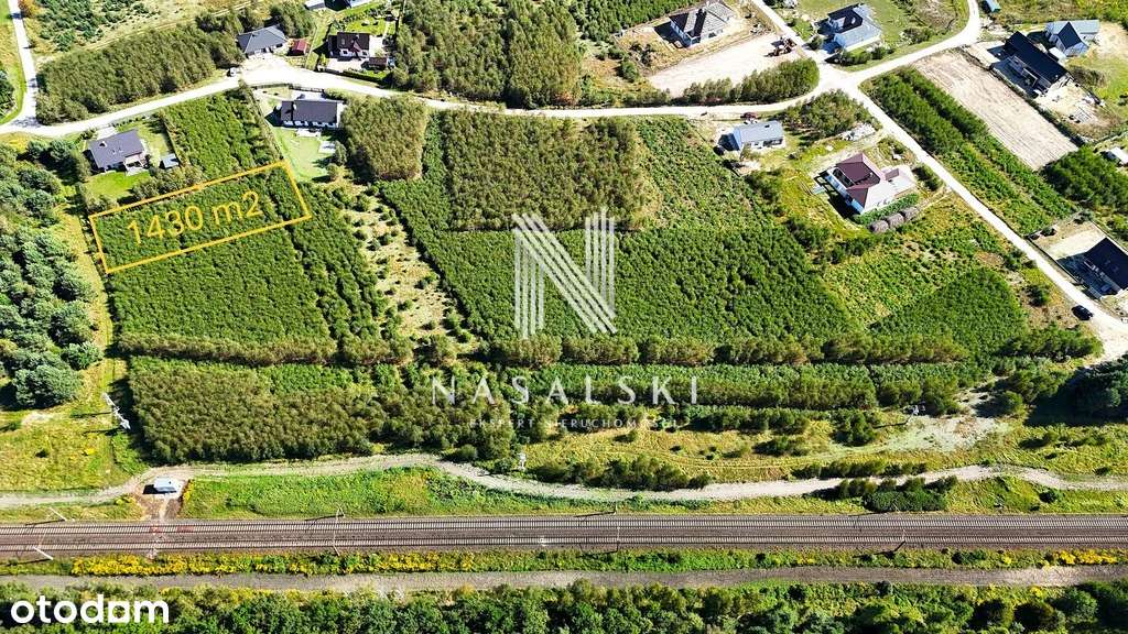 Jarzębinowa / Mpzp / Dobrcz - Nekla 12/66-1