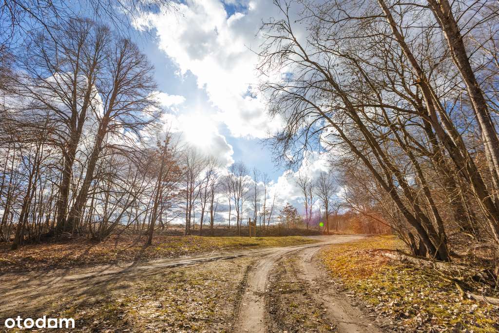 2 pokoje z ogrodem, las i jezioro-11