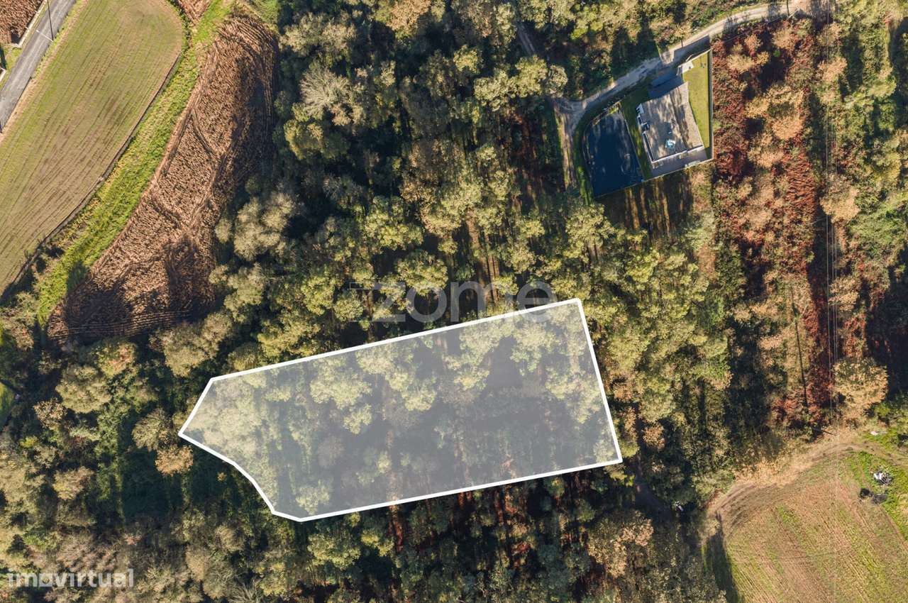 Terreno Rústico com 2.516 m2 na Carvalhosa, Paços de Ferreira - Grande imagem: 4/17