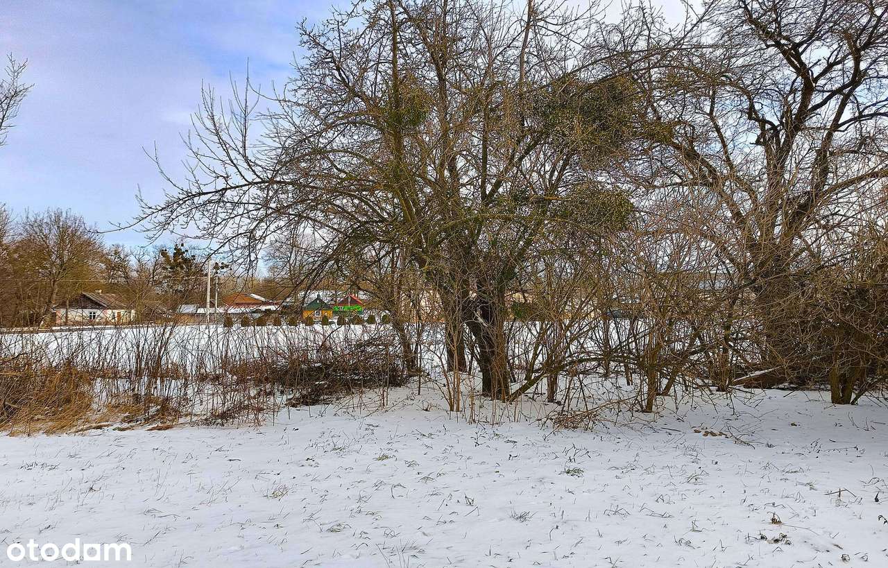 Siedlisko 60 m2, działka 3644 m2; Kitów-3