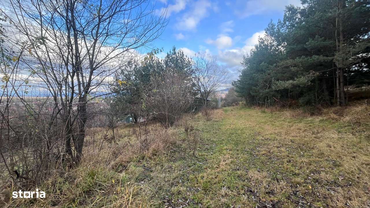 Teren Intravilan 495 mp – Zonă Liniștită -  Strada Livezii-3
