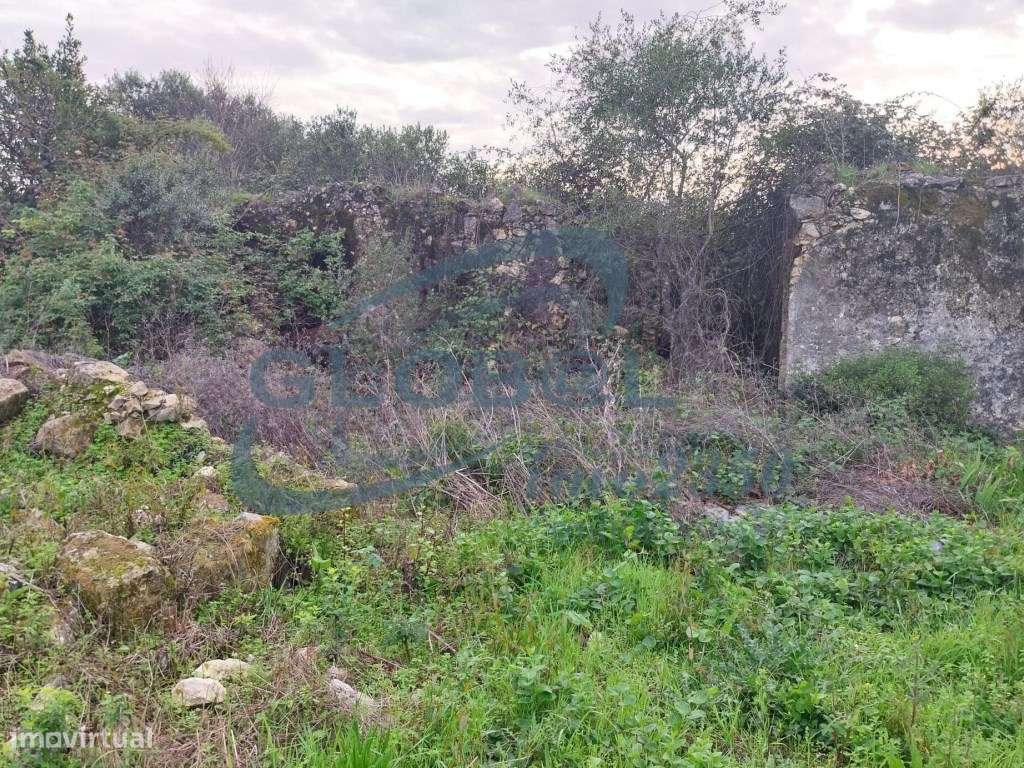 Terreno Venda Torres Novas - Grande imagem: 4/6