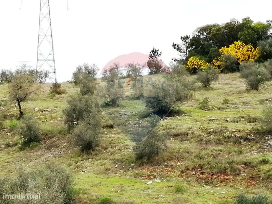 Terreno  para venda - Grande imagem: 4/6