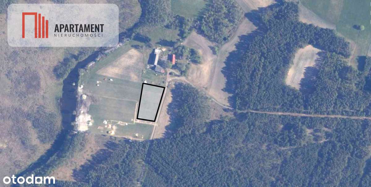 Duża Działka W Otulinie Lasów! - Pełny obrazek: 5/5