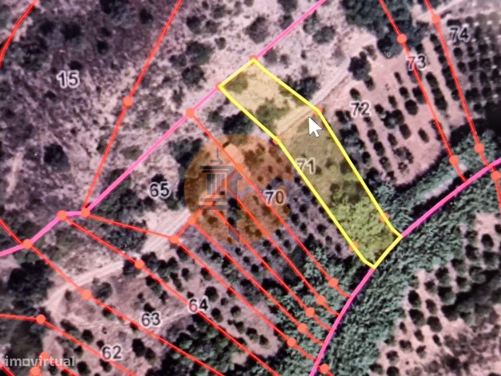 TERRENO RÚSTICO COM 1.180 M2 COM LARANJEIRAS - COM ÁGUA DE REGA - P... - Grande imagem: 2/30