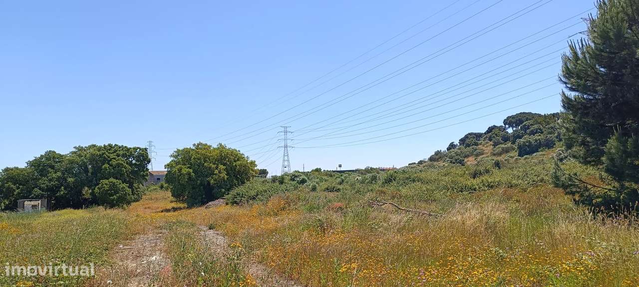 Terreno Rústico – Palmela-12