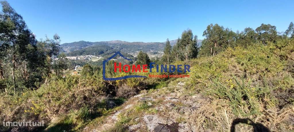 Bouça com 15.000 m² - Póvoa de Lanhoso - Grande imagem: 3/20