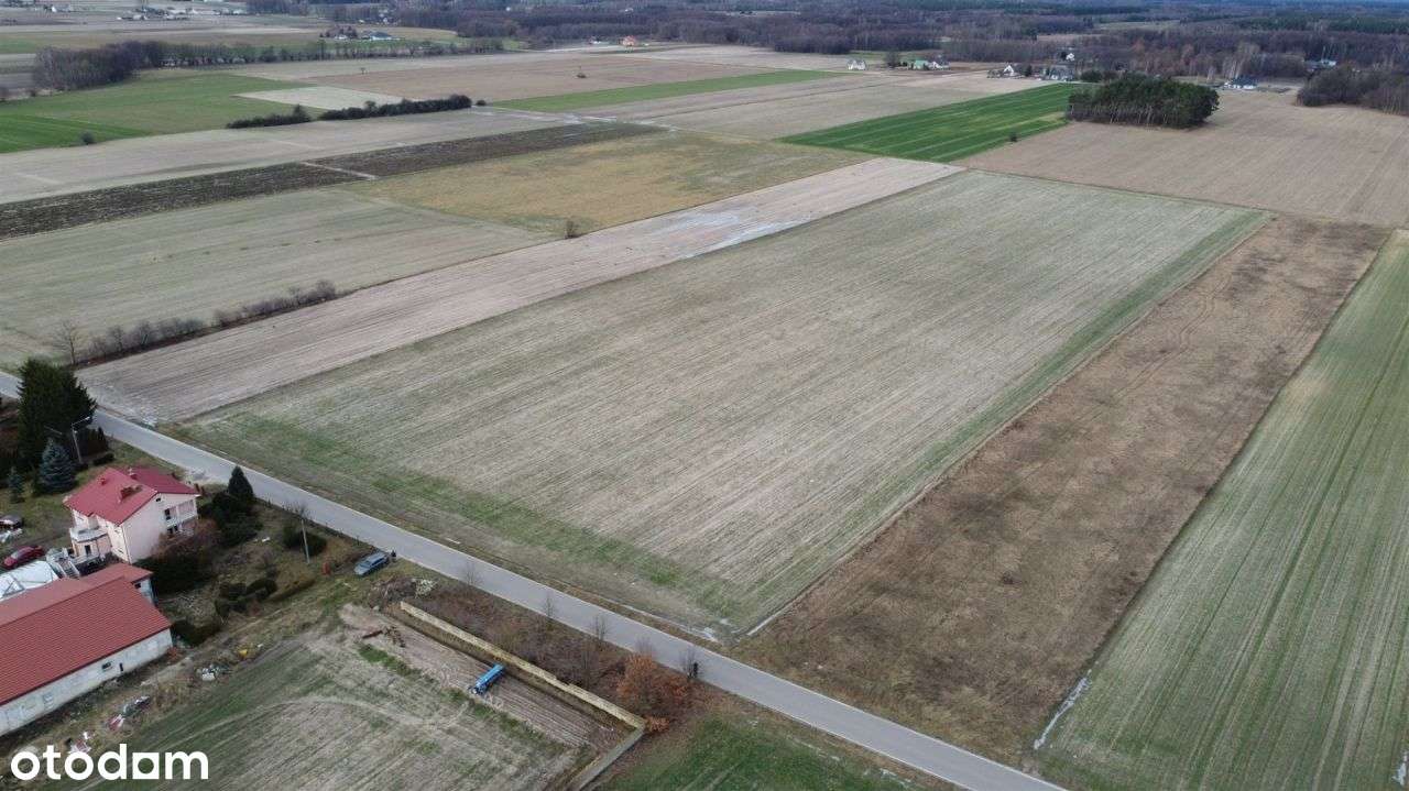 Działka w m. Proboszczewice gm. Joniec - Pełny obrazek: 5/10