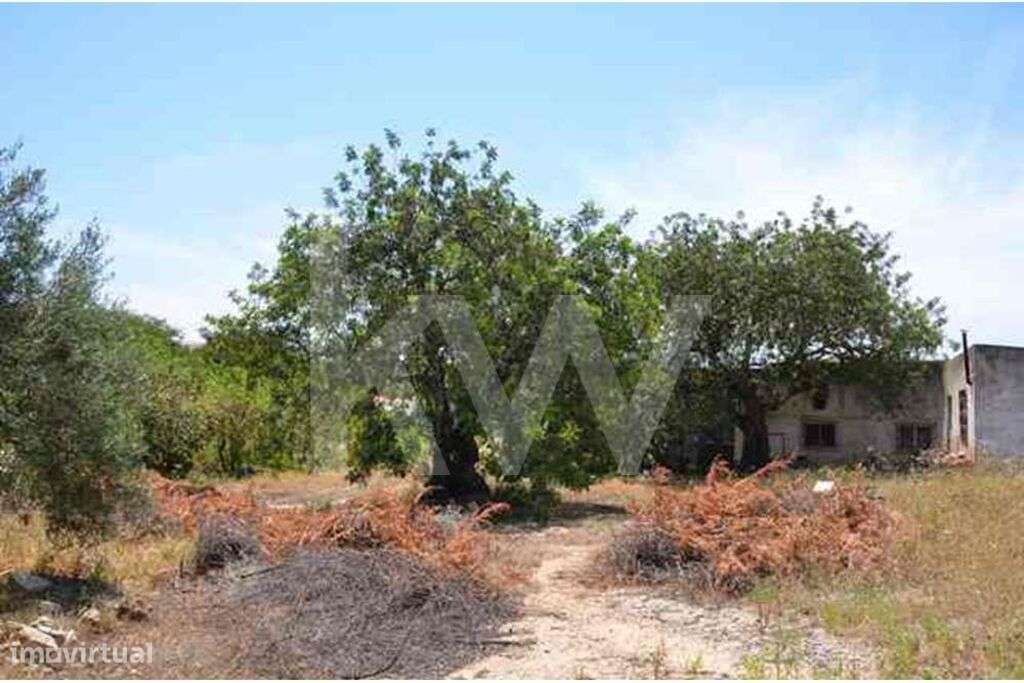 Terreno para construção com projecto aprovado - Grande imagem: 4/9