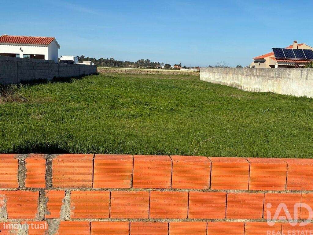 Terreno para construção em Salvaterra de Magos e Foros de Salvaterra - Grande imagem: 4/7