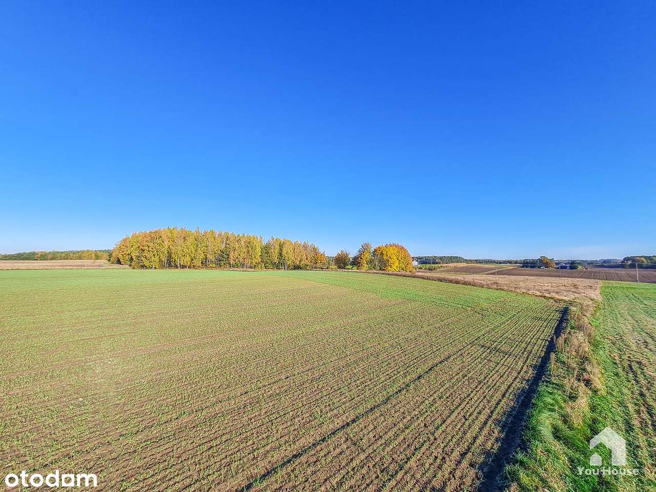 Działka budowlana blisko Jeziora - Rybno-11