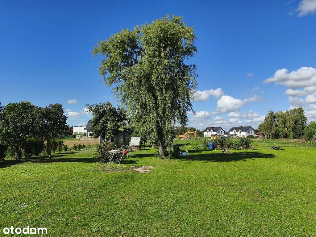 ustawna duża działka z warunkami zabudowy - Pełny obrazek: 3/6