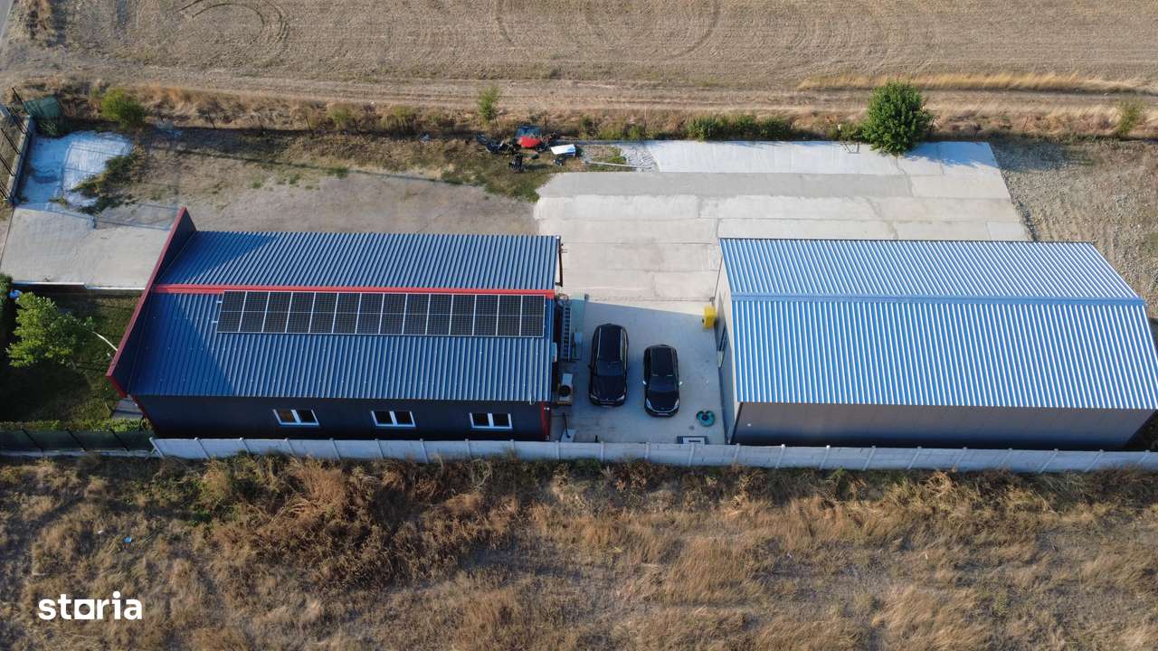 Hala de vânzare/închiriat Podari-3