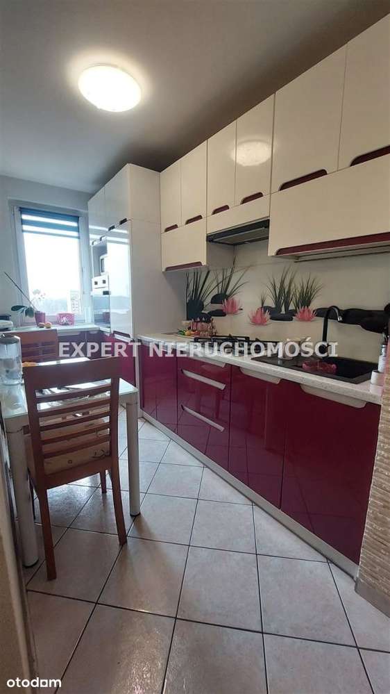 Przestronne 3 Pokoje Z Balkonem ul.Daleka Od Zaraz-2