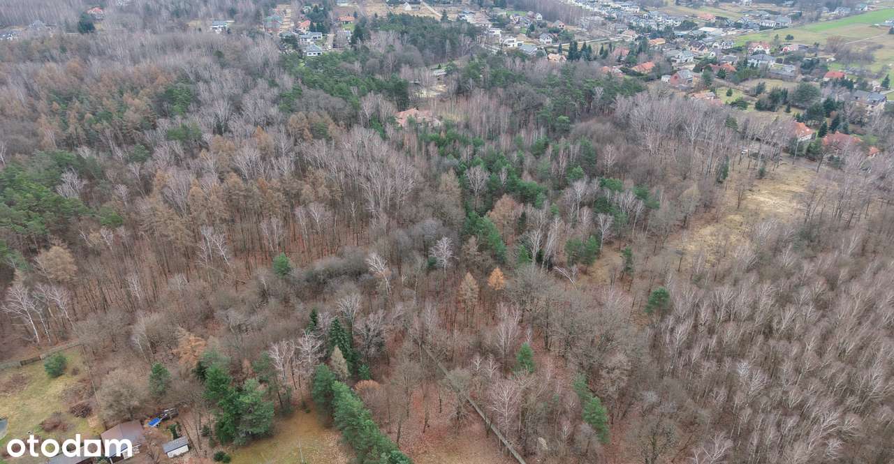 Działka na sprzedaż- Otulina Lasu Łagiewnickiego-4