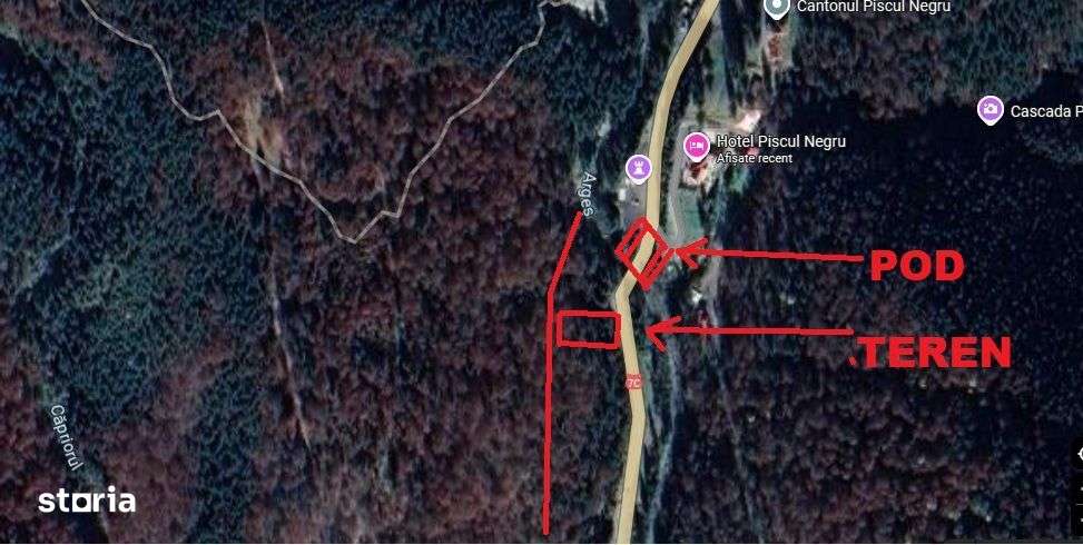 TEREN EXTRAVILAN PADURE PISCUL NEGRU ARGES-9