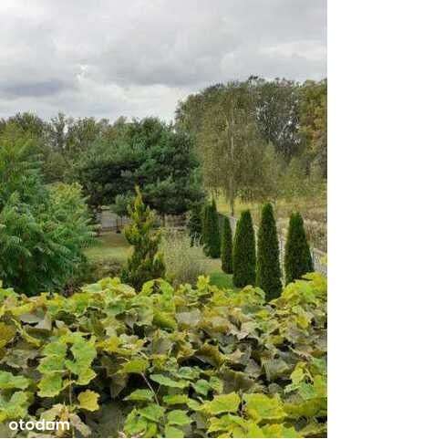 Ok. Wilgi działka 2400 dom 110-10