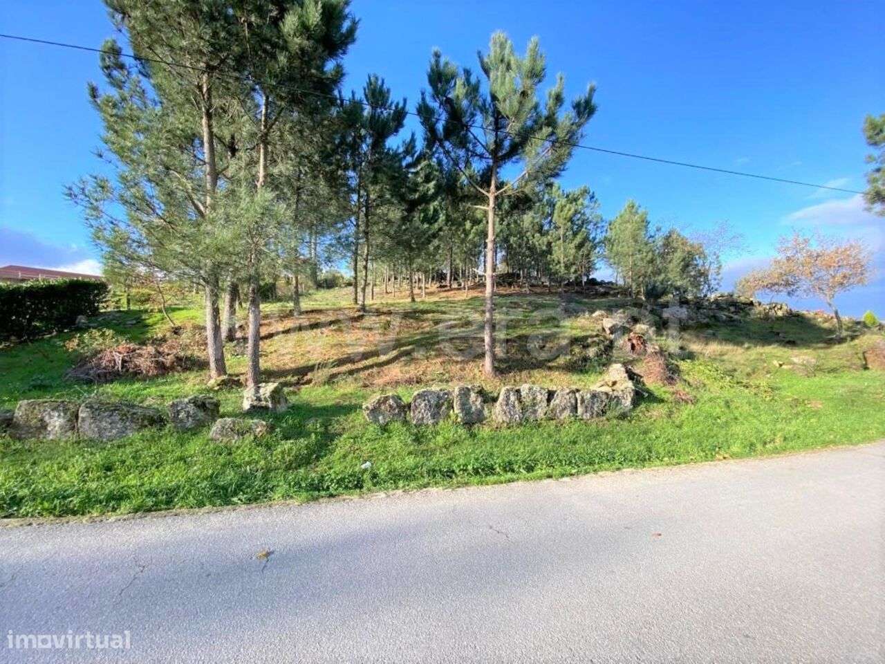 Terreno para Construção / Cinfães, São Cristóvão de Nogueira - Grande imagem: 2/8