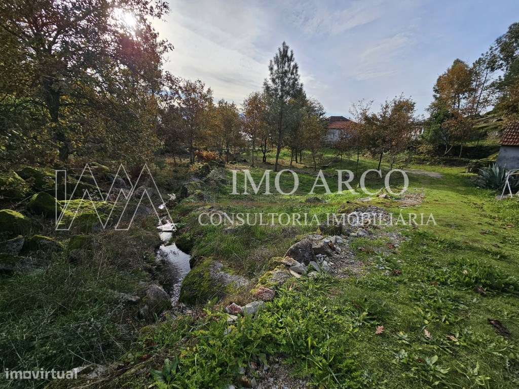 Terreno, Olival de Meanhos-9