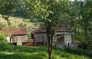10 hectare teren plus casa la munte in Buces, Hunedoara