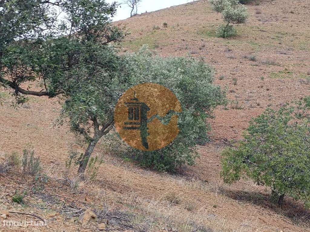 TERRENO RÚSTICO COM 5.640 M2 EM ALCARIAS GRANDES - CASTRO MARIM - A... - Grande imagem: 5/25