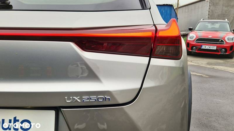 Lexus UX 250h GPF Business Edition 2WD - 21