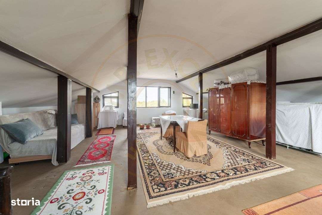 Casa P+M cu teren 2788 mp COCU -RACHITELE ARGES-15