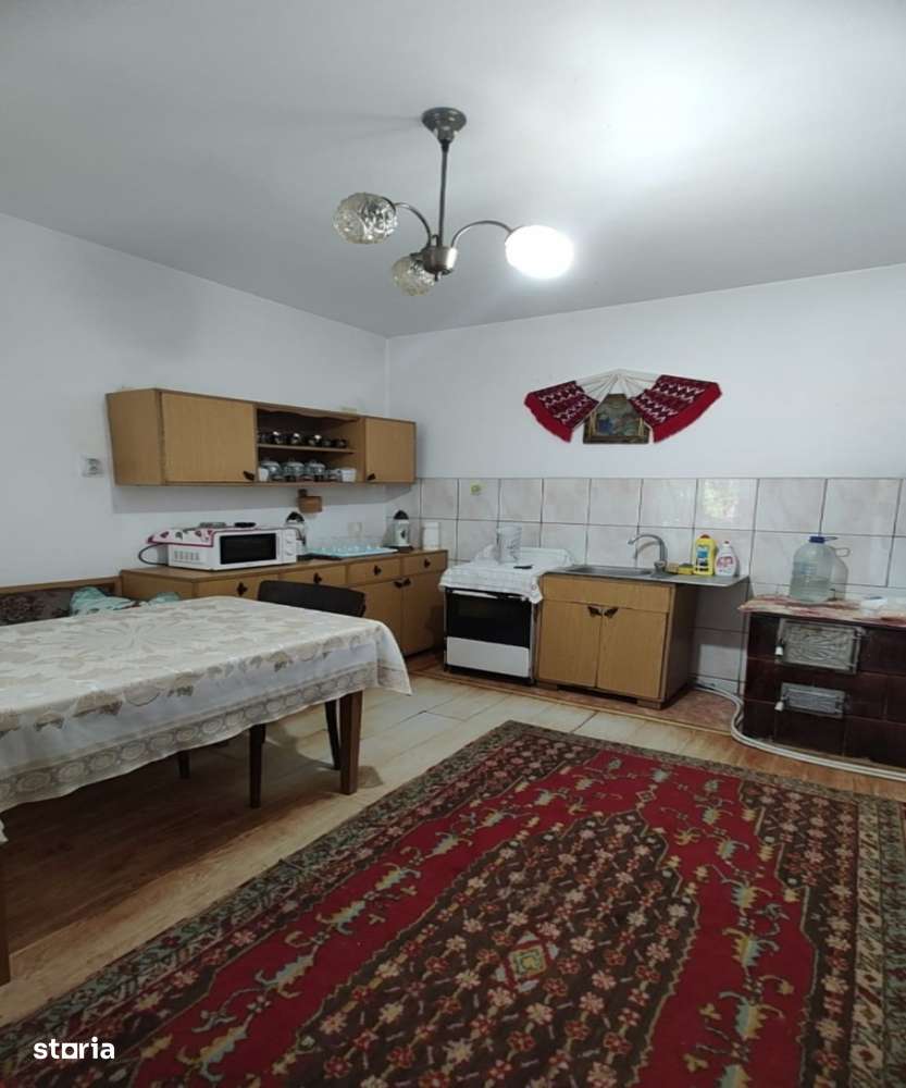 De vanzare casa in Baia De Cris-Brad - Imagine principală: 4/19