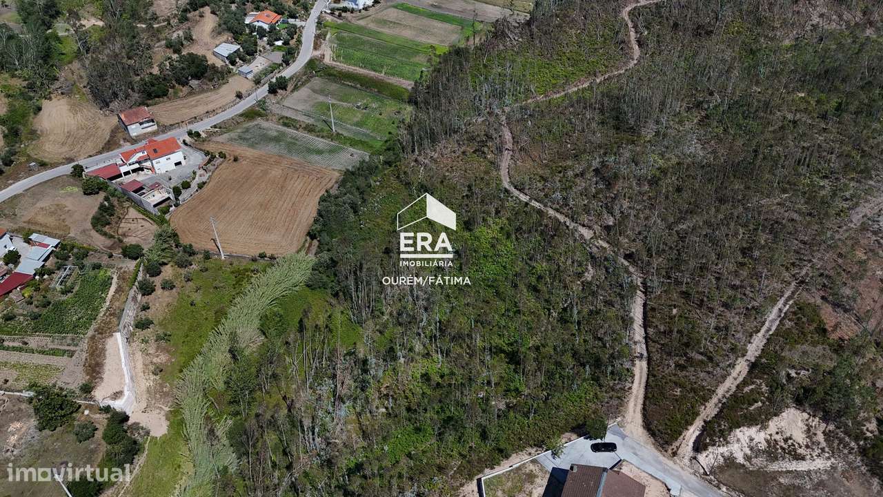 Terreno Florestal em Matas, Ourém-7
