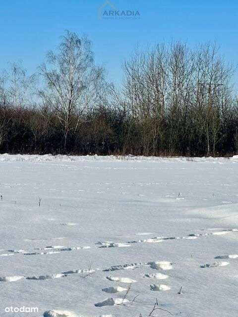 Blisko Natura 2000!-3