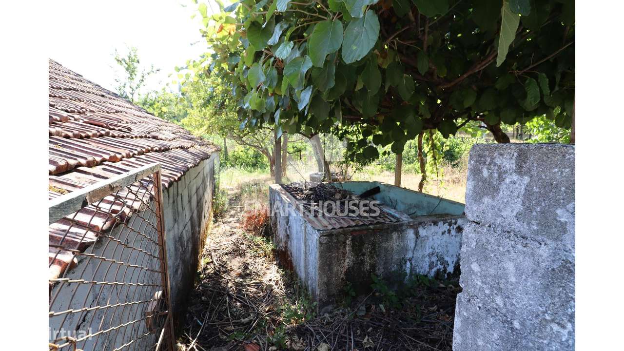 Moradia T2 Couto do Mosteiro c/ terreno-31