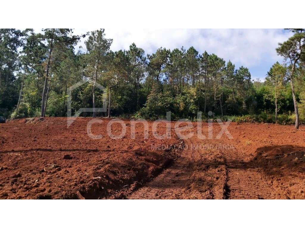 Terreno com 11.340 m2 em Santana - Grande imagem: 5/11
