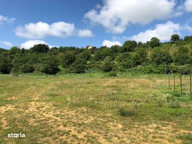 Teren intravilan 1800 mp cu front 23 metri Str. Romană - Imagine principală: 1/1