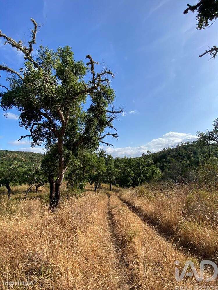 Terreno em Melides de 248300,00 m2 - Grande imagem: 5/13