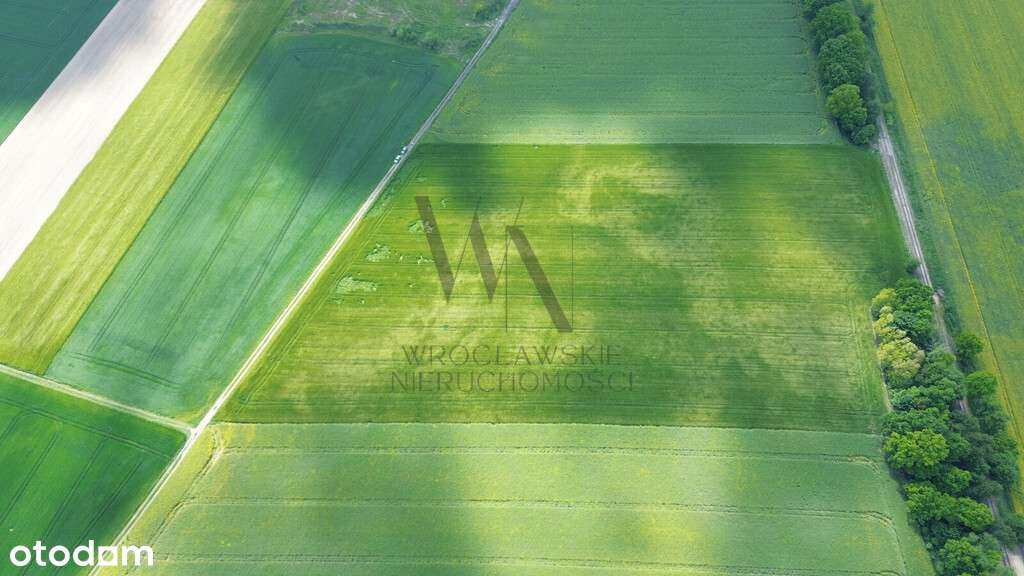 Działka inwestycyjna AG/6 – Cieśle, gmina Oleśnica-5