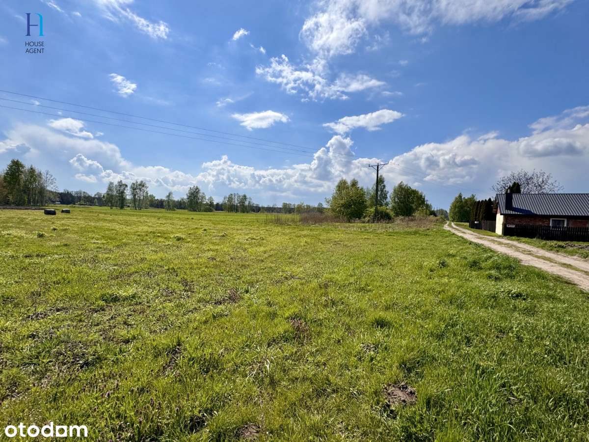 Działka budowlana wśród zieleni – Stary Adamów - Pełny obrazek: 5/9