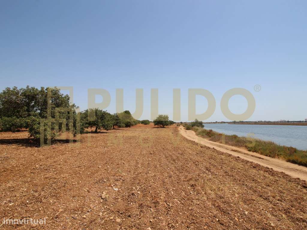 Quinta em Castro Marim a 5km da praia-24