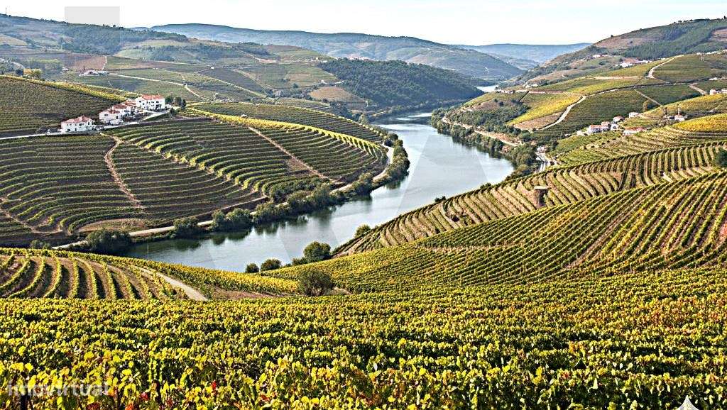 MORADIA T3 - RENOVADA - ADEGA - ÁREA EXTERIOR - Grande imagem: 4/47