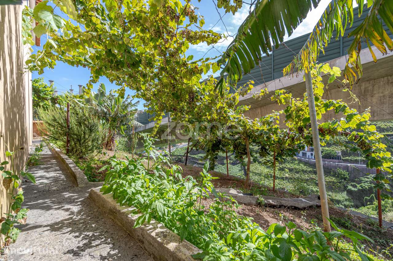 Moradia Térrea T3 no Estreito de Câmara de Lobos - Grande imagem: 4/39