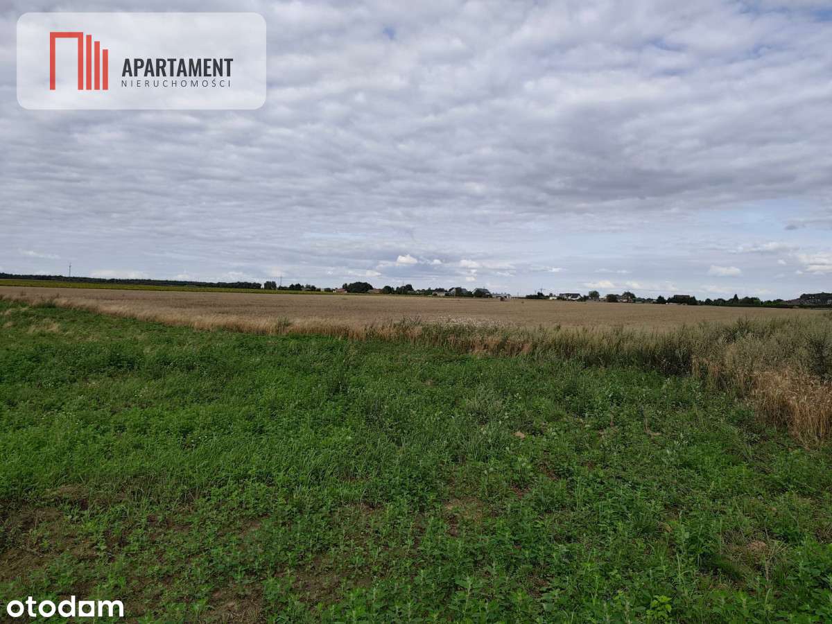 Atrakcyjna działka pod budowę domu tylko 150zł/mkw - Pełny obrazek: 4/5