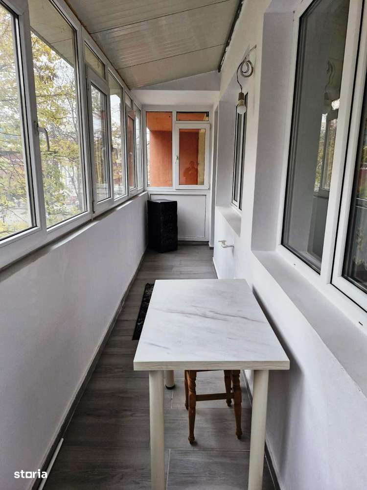 Baba Novac -Gheorghe Petrascu-16