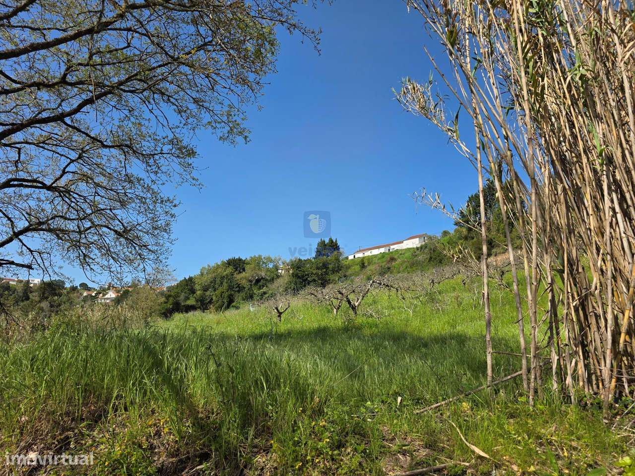 Quintinha com 12.484m2 de Terreno e 260m2 de área bruta. Possibilidad-25