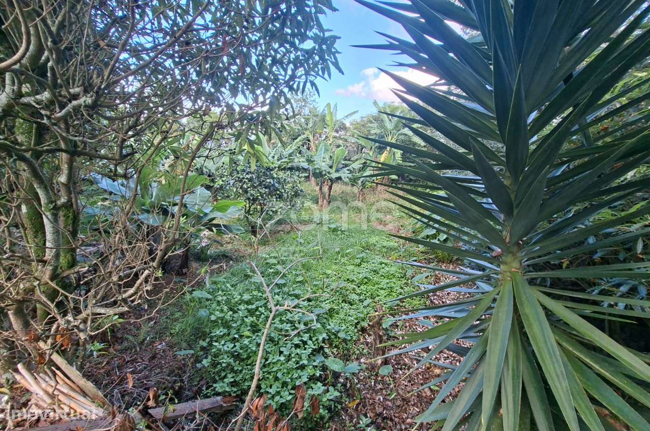 Terreno Rústico com Potencial Urbanizável – Capelas, Ponta Delgada - Grande imagem: 5/15