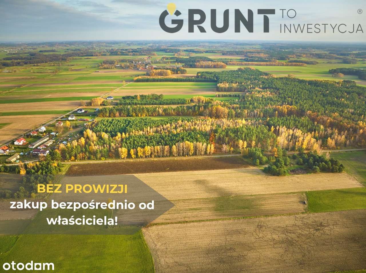 Działki budowlane pod lasem - Pełny obrazek: 5/9