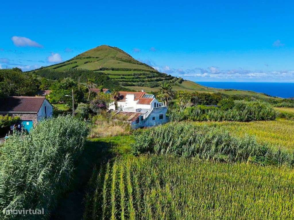 Terreno Rustico com viabilidade de construção -João Bom Da Bretanha - Grande imagem: 2/9