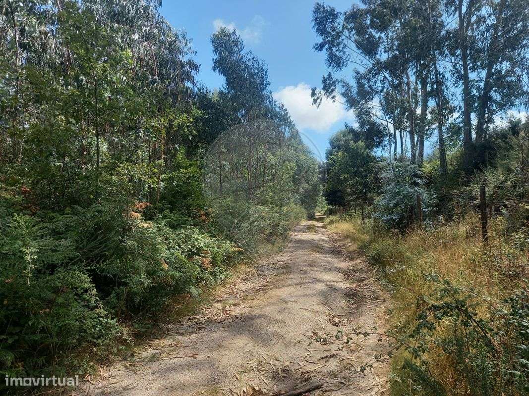 Terreno  para venda - Grande imagem: 5/11